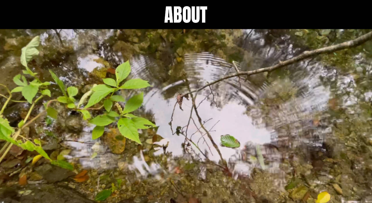 background_about