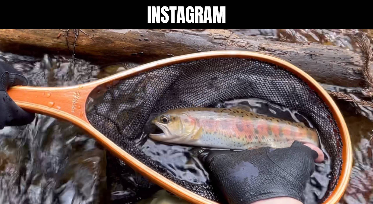 background_instagram