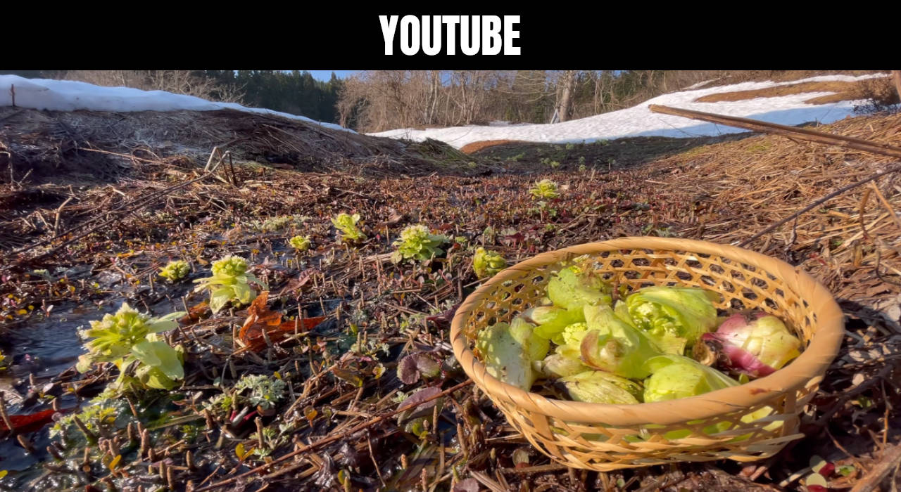 background_youtube