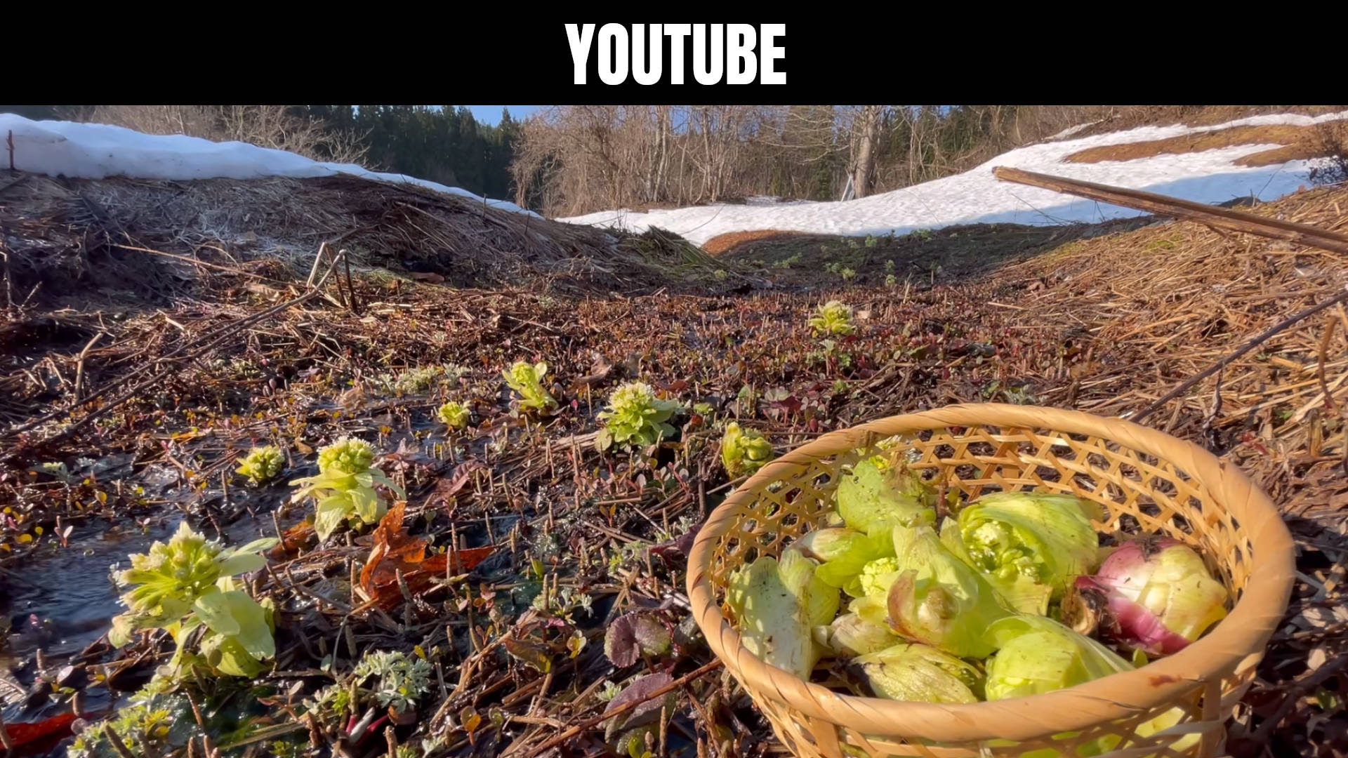 background_youtube