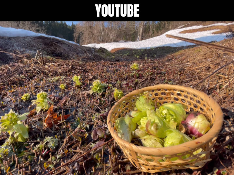 background_youtube
