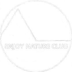 footer-logo